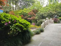 -杭州半山国家森林公园