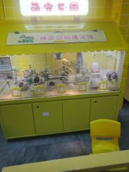 -神奇动物撸宠馆·羊驼·小浣熊·异宠(豫园店)