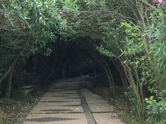 -吴淞炮台湾湿地森林公园烧烤区