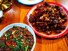 -柴窝堡22号辣子鸡·传承新疆菜