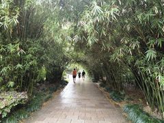 -新虹桥中心花园