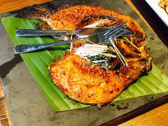 罗非鱼-云海肴·汽锅鸡·云南代表菜(天山百盛优客店)