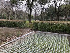 -金匮公园-南入口停车场