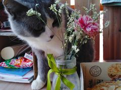 -巴莉甜甜(滨湖振徽苑店)