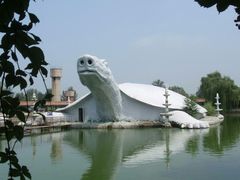 -东方巨龟苑景区