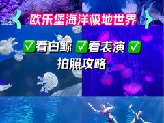-泉城欧乐堡海洋极地世界