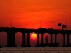 -宝安西湾红树林湿地公园