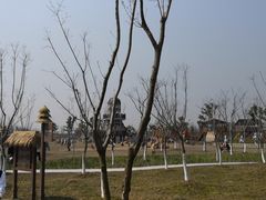 -上海长兴岛郊野公园