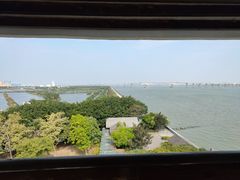 -大湾区中央湿地公园