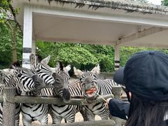 -贵州森林野生动物园