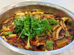 冷锅脆鳝鱼-高坎一品甲鱼庄(两河店)