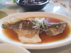 桂鱼-鸿运酒楼