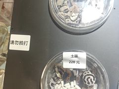 -酷以爬仙阁实体爬宠店·守宫·蜥蜴·专业繁育