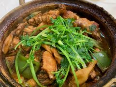 渝君鸡煲-渝君重庆火锅(嘉宾路店)