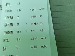 -圣宠动物医院·犬猫专科·影像中心·外科中心