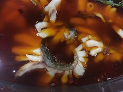 -重庆乌鱼庄·龙滋鲜(青羊大道店)