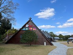 -东平国家森林公园