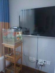 -scarlet斯卡莱美容护理机构