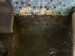 -南宫温泉水世界