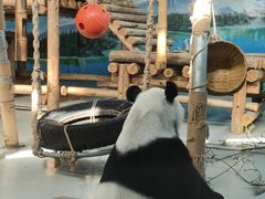 -柳州市动物园