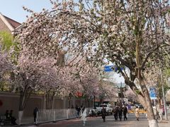 -天津五大道文化旅游区