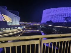 -福州海峡文化艺术中心