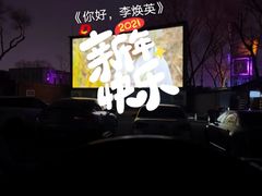 -枫花园汽车电影院(朝阳公园店)