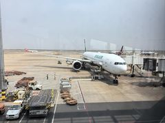 -上海浦东国际机场-T2航站楼