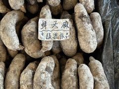 -云南木水花野生菌交易中心