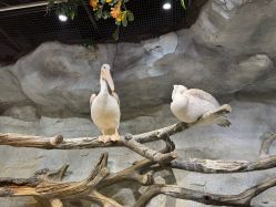 -Zoolung Zoolung动物主题公园(海信广场店)