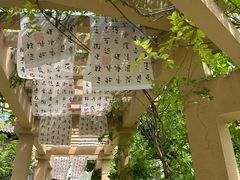 -莲湖公园