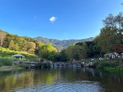 -广州市石门国家森林公园