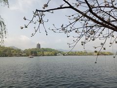 -南方迷宗大包(湖滨店)