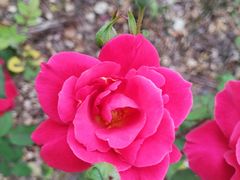 -昆山城市生态森林公园