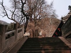 -潭柘寺景区