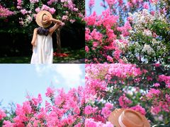 -杭州城北体育公园