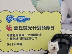 -武汉光谷K11