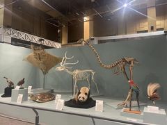 -国家自然博物馆