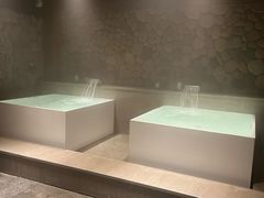 -漢頓温泉度假酒店