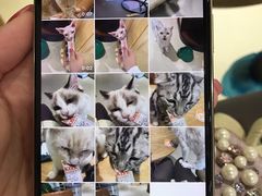 -藏猫猫咖啡主题馆(中央大道店)