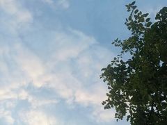 -维乐口腔医院(星海湾分院)