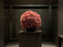 -香港尖沙咀凯悦酒店