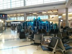 -达拉斯 沃斯堡国际机场