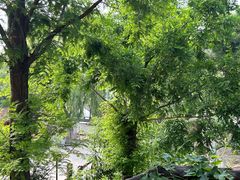 -沂蒙云瀑洞天景区