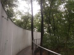 -阿那亚第三食堂 Cafeteria 3
