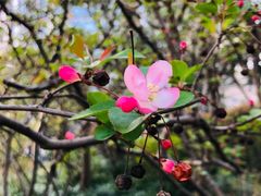 -苏州河梦清园环保主题公园