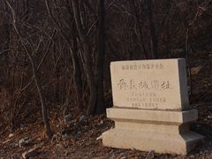 -原山国家森林公园