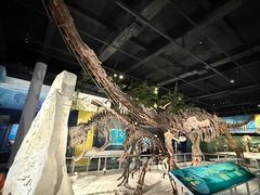 -国家自然博物馆