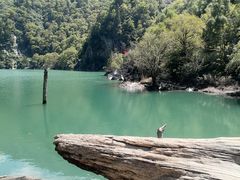 -叠溪松坪沟景区