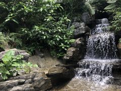 -梧桐山风景名胜区